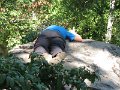 Gettysburg 109